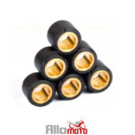 Roulements Variateur BCR pour SH 150